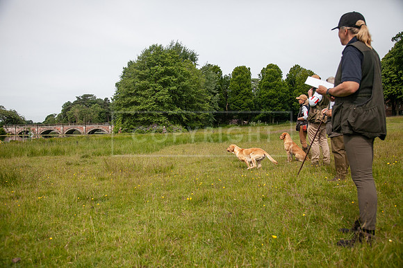 Int Retriever Day 1 -075