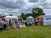 Scruffts heat 3 Burley Manor 31 May 2026-1