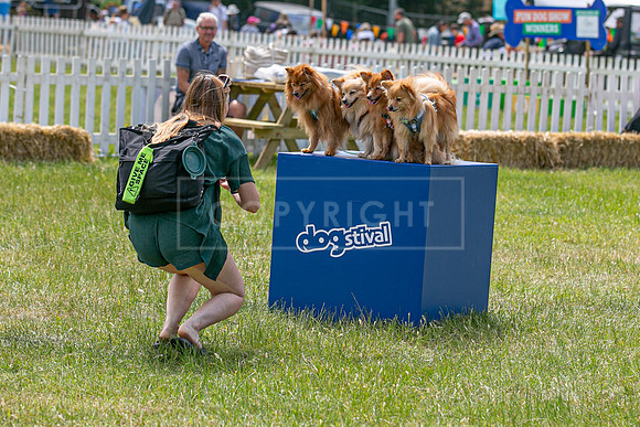 Scruffts heat 3 Burley Manor 31 May 2026-4