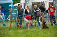 Scruffts heat 3 Burley Manor 31 May 2026-5