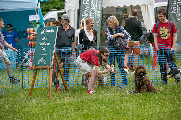 Scruffts heat 3 Burley Manor 31 May 2026-5