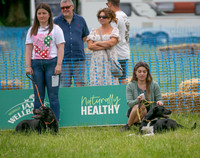 Scruffts heat 3 Burley Manor 31 May 2026-7