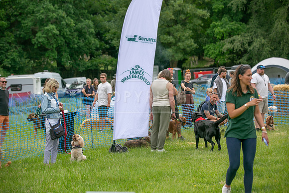 Scruffts heat 3 Burley Manor 31 May 2026-8