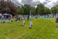 Scruffts heat 3 Burley Manor 31 May 2026-6