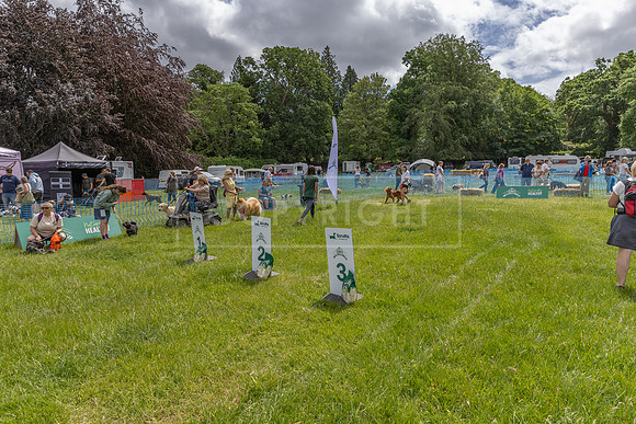 Scruffts heat 3 Burley Manor 31 May 2026-6