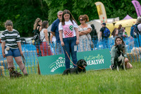 Scruffts heat 3 Burley Manor 31 May 2026-14