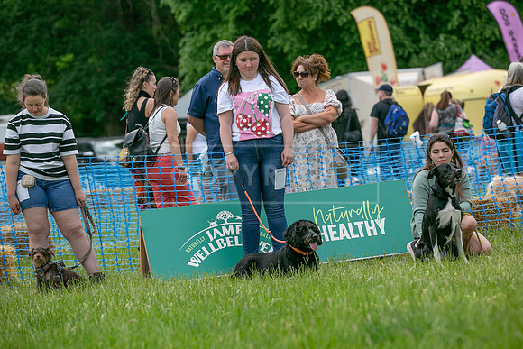 Scruffts heat 3 Burley Manor 31 May 2026-14
