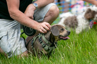 Scruffts heat 3 Burley Manor 31 May 2026-17