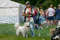 Scruffts heat 3 Burley Manor 31 May 2026-20