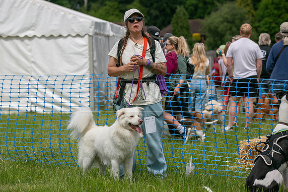 Scruffts heat 3 Burley Manor 31 May 2026-20