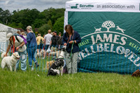 Scruffts heat 3 Burley Manor 31 May 2026-19