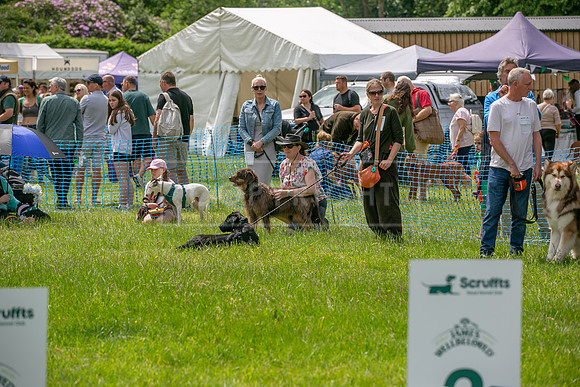 Scruffts heat 3 Burley Manor 31 May 2026-21