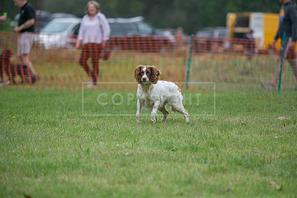 Jixenwell Scurry Challenge Final 2024-0346