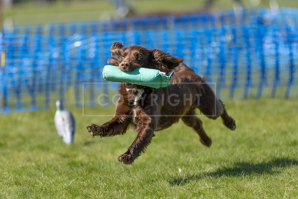 Thoresby Sun 30th Mar 25-152
