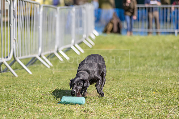 Thoresby Sun 30th Mar 25-236
