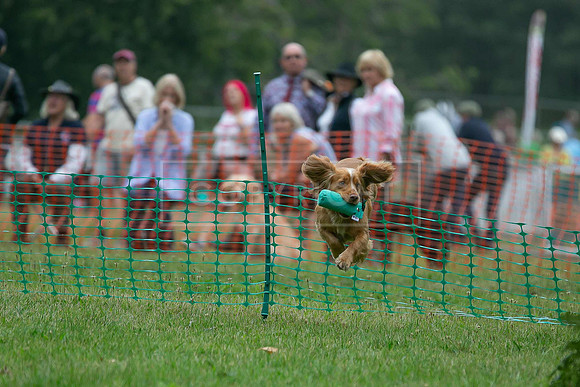 Jixenwell Scurry Challenge Final 2024-0364