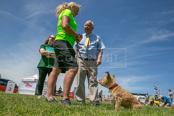 Scruffts heat @ Wadebridge 13th July 2025-78