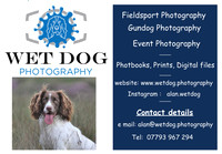 1 Wetdog Contact Detail