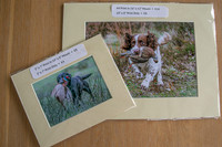 4 Standard print sizes
