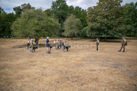 Thoresby 15th Aug 2026-049