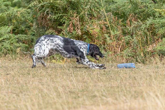 Thoresby 15th Aug 2026-084