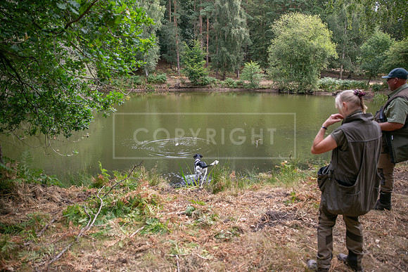 Thoresby 15th Aug 2026-129