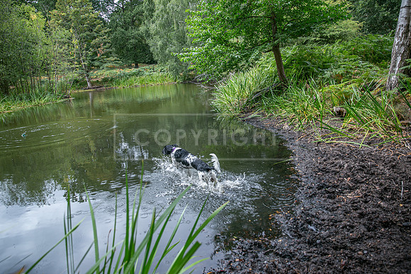 Thoresby 15th Aug 2026-199