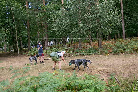 Thoresby 15th Aug 2026-240
