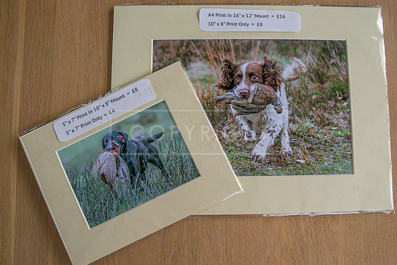 4 Standard print sizes