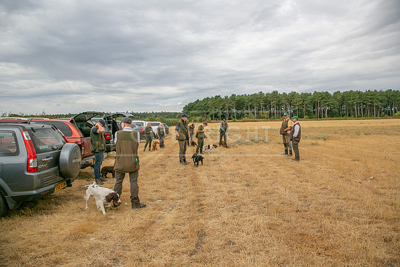 Thoresby 16th Aug 2026-005