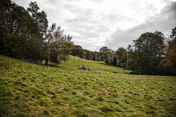 Tilden Farm 23rd Oct-268