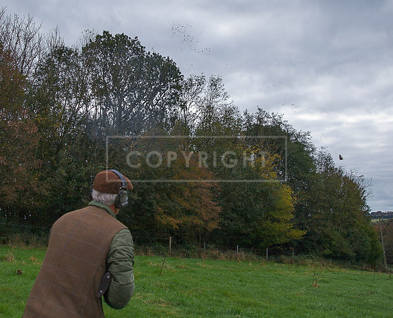 Tilden Farm 23rd Oct-045