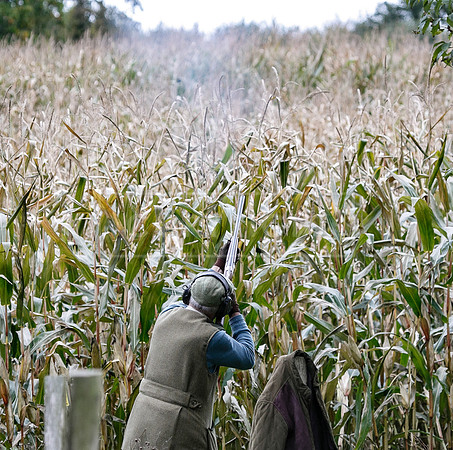 Tilden Farm 23rd Oct-220