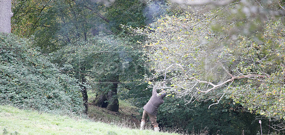 Tilden Farm 23rd Oct-285