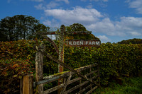 Tilden Farm 23rd Oct-001 copy