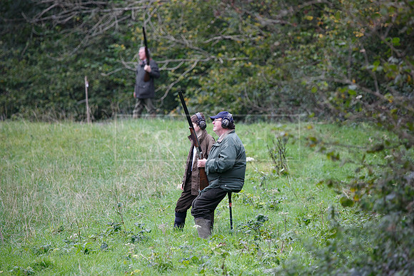 Tilden Farm 23rd Oct-124