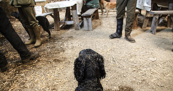 Tilden Farm 23rd Oct-186