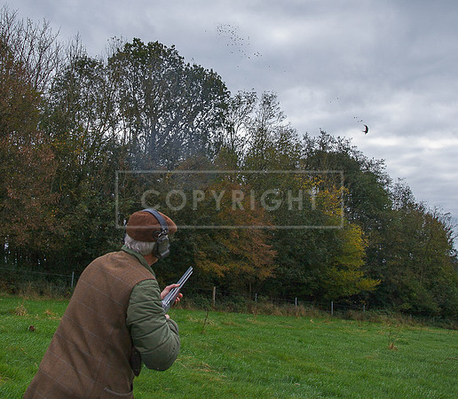 Tilden Farm 23rd Oct-044