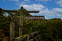 Tilden Farm 23rd Oct