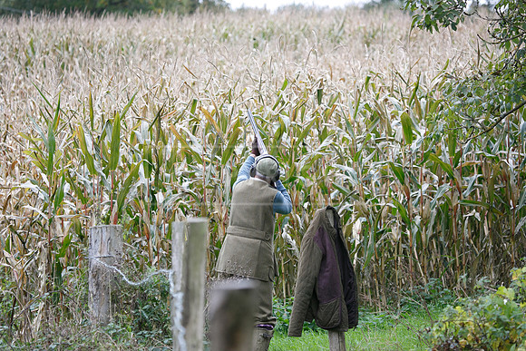 Tilden Farm 23rd Oct-219