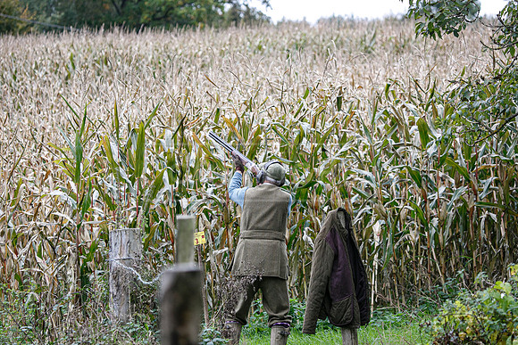 Tilden Farm 23rd Oct-221