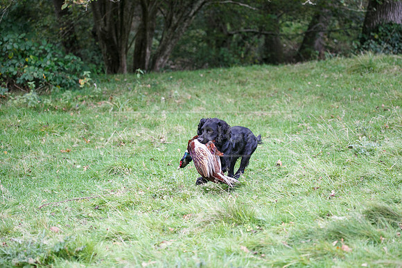 Tilden Farm 23rd Oct-295