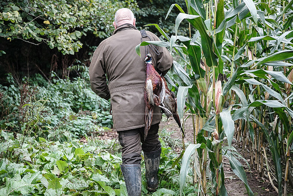 Tilden Farm 23rd Oct-244