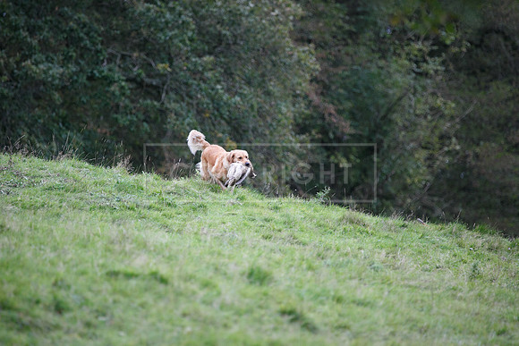 Tilden Farm 23rd Oct-333