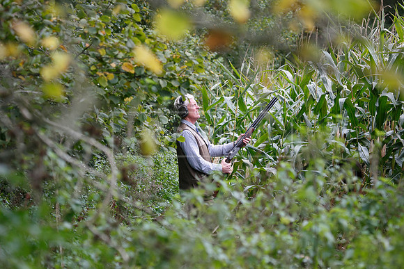 Tilden Farm 23rd Oct-218