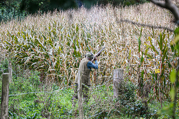 Tilden Farm 23rd Oct-241