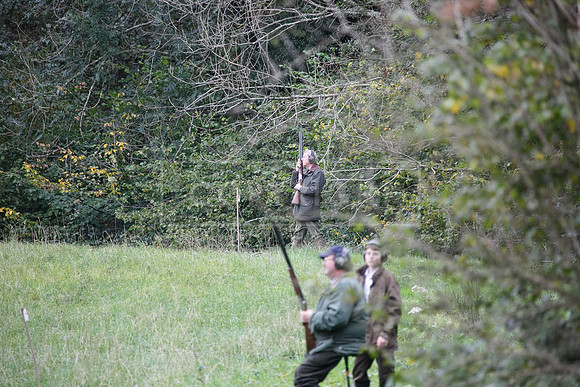 Tilden Farm 23rd Oct-134