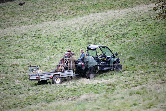 Tilden Farm 23rd Oct-340