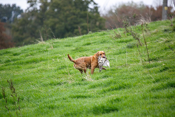 Tilden Farm 23rd Oct-236