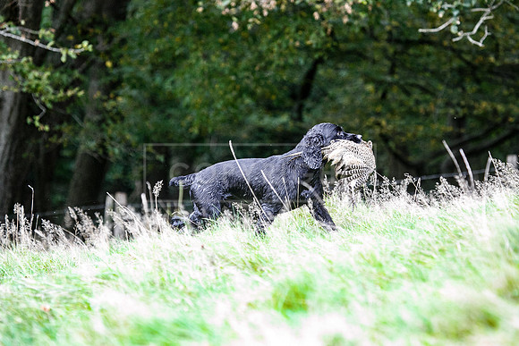 Tilden Farm 23rd Oct-271